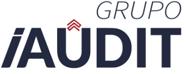 grupo iaudit